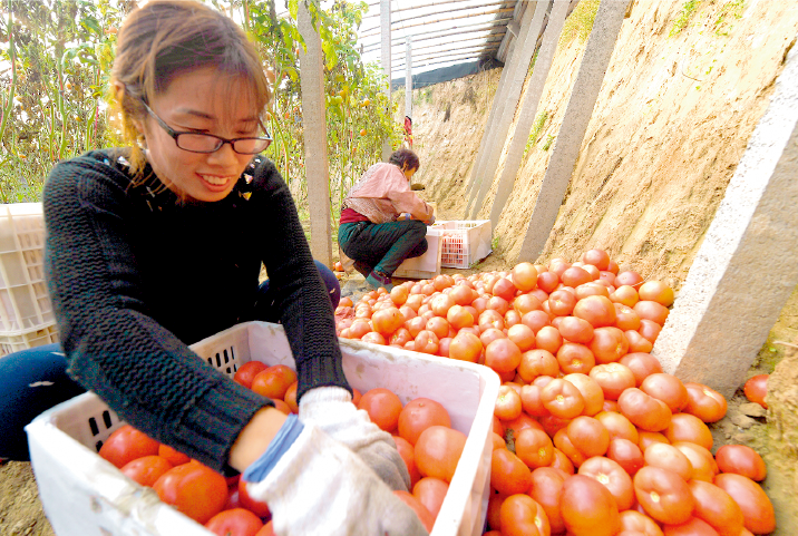 把“芒果体育app下载安装金融活水”引到田间地头(图2)